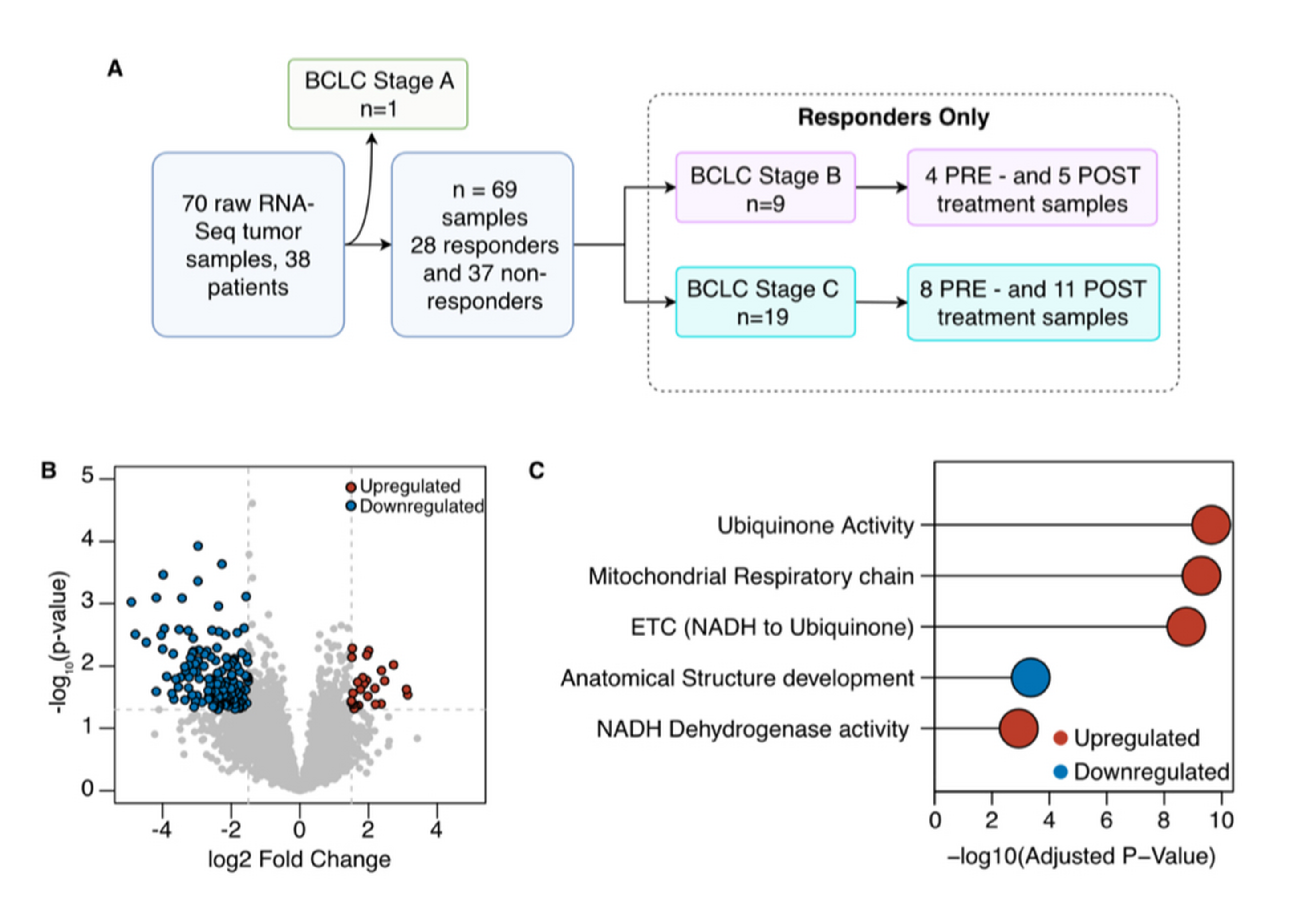 Workflow and biomarker results for lncRNA monitoring of hepatocellular carcinoma immunotherapy response