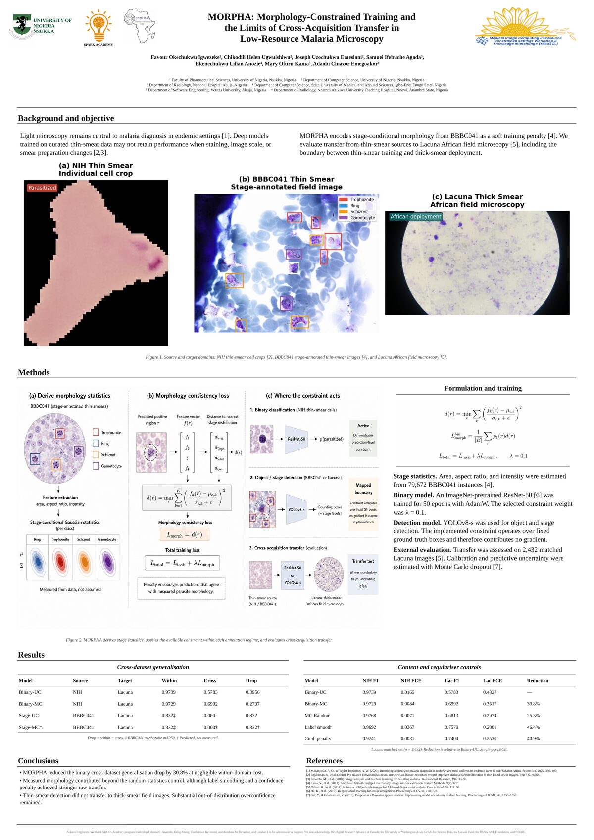 MORPHA poster presented at the MIRASOL Workshop at MICCAI 2026
